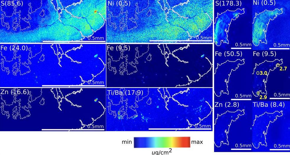 毛滴虫的营养源,毛滴虫营养源是什么