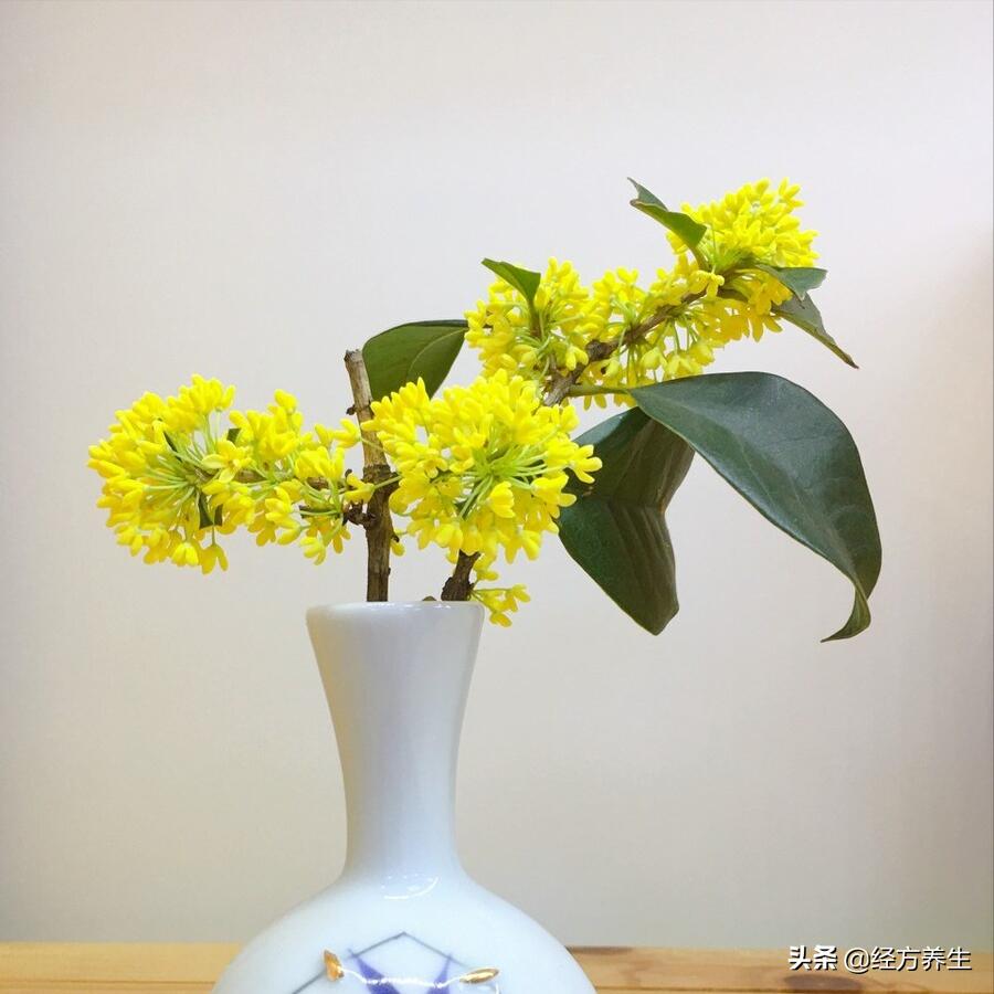 巧合还是天意？几年前治愈的精神病案例反馈到今天的病例上