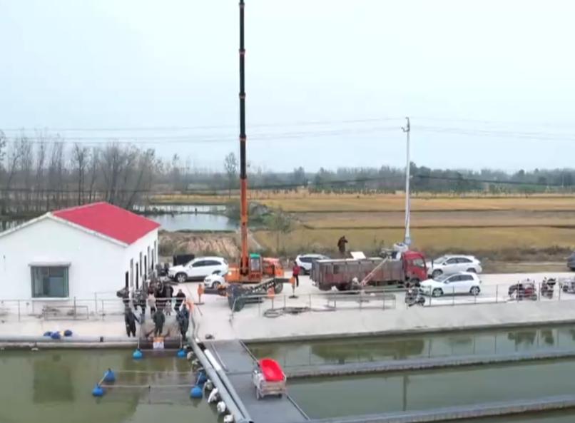 水库养鱼一年收入1000万,30亩养鱼塘一年收入