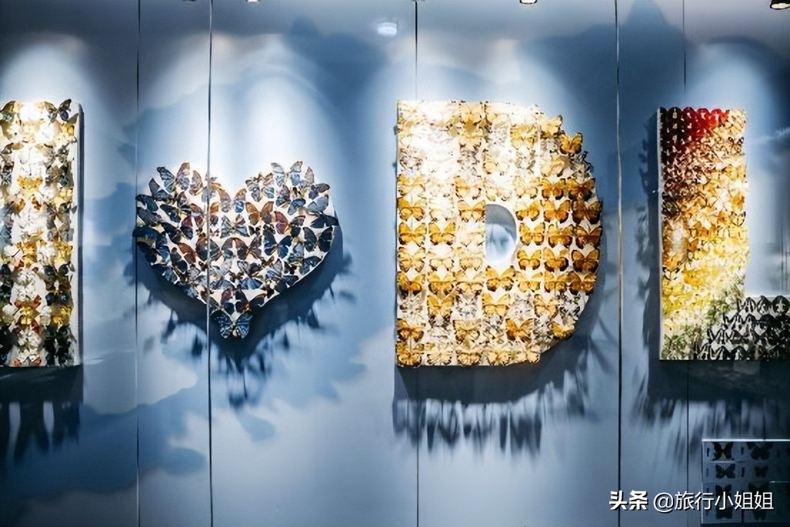 夏日海边浪漫迷人,滨城风光秀丽浪漫气息爆表