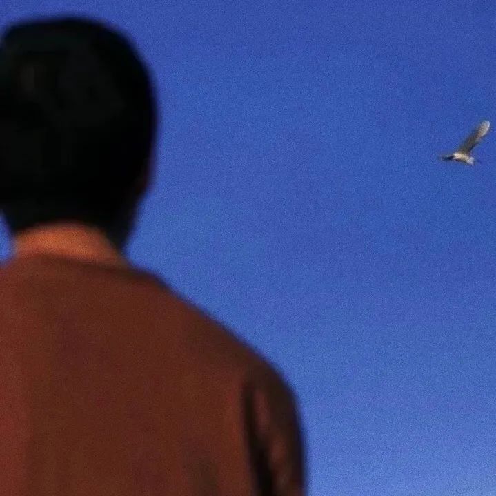 情侣头像来我身边给你温暖,情侣头像我细数时光只为与你相见