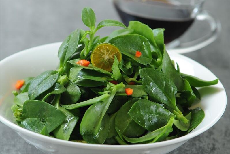 3月吃野菜，不要只知道荠菜，这“南京三宝”，比荠菜味道鲜美