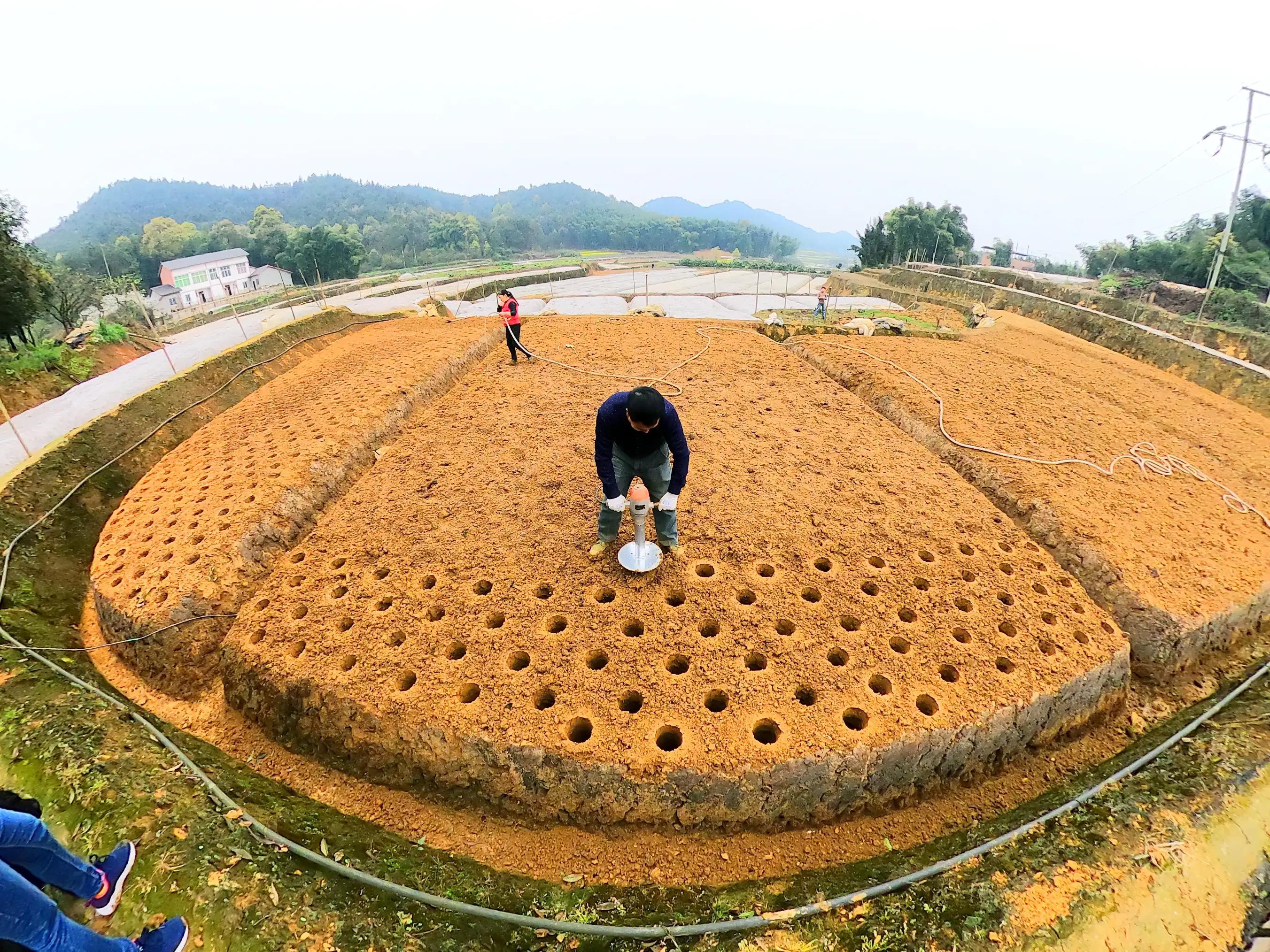 两个女人脏七脏八地越吵越凶，后来就在院子里厮打起来