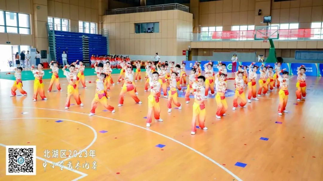 南燕小学,郴州市南燕小学成绩排名