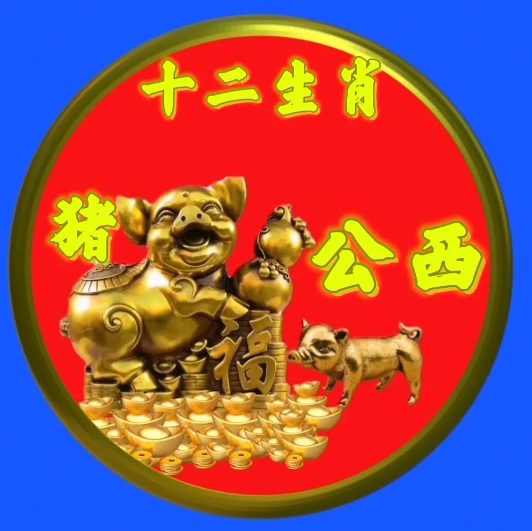 12生肖猪的姓氏头像,十二生肖猪姓氏头像壁纸
