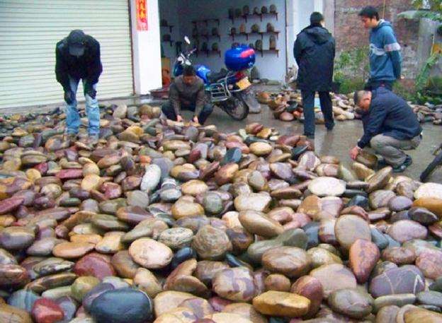 捡什么样的石头能发家致富 (捡石头真的可以发财吗)