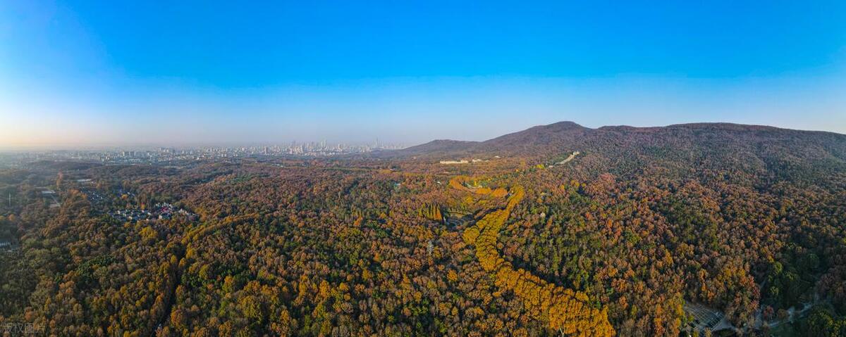 南京市2022年经济总量,南京2022上半年gdp突破8000亿