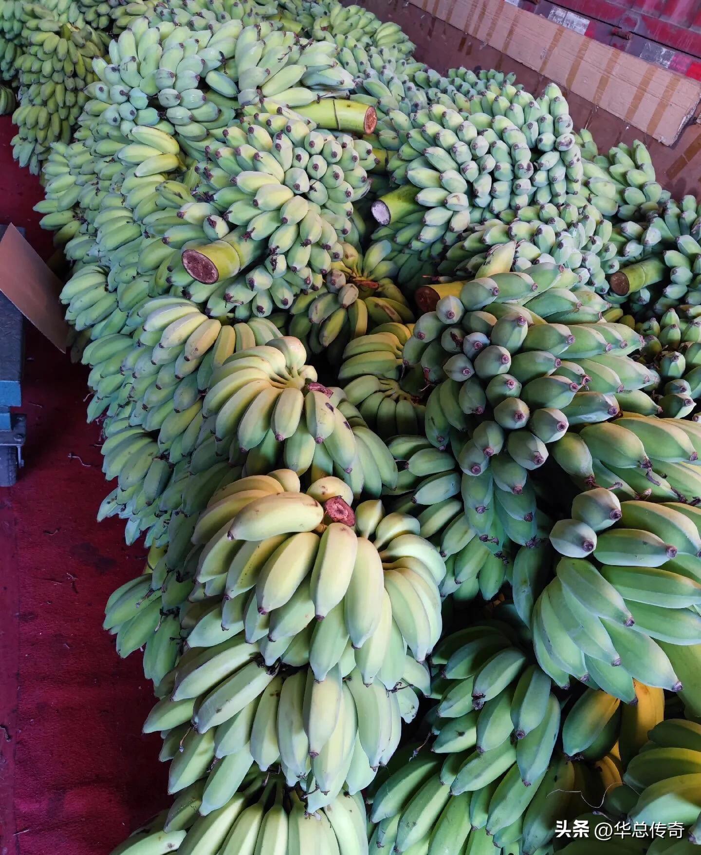 海南的蔬菜水果为什么贵,海南省哪个市的水果最便宜