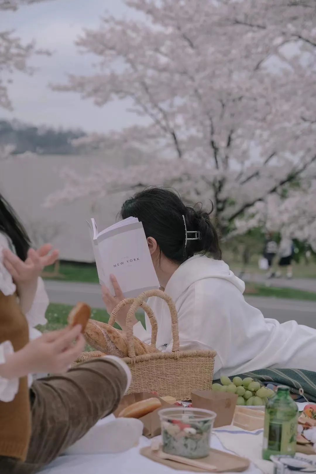 探访100个年轻人的家,居家办公如何克服父母的干扰