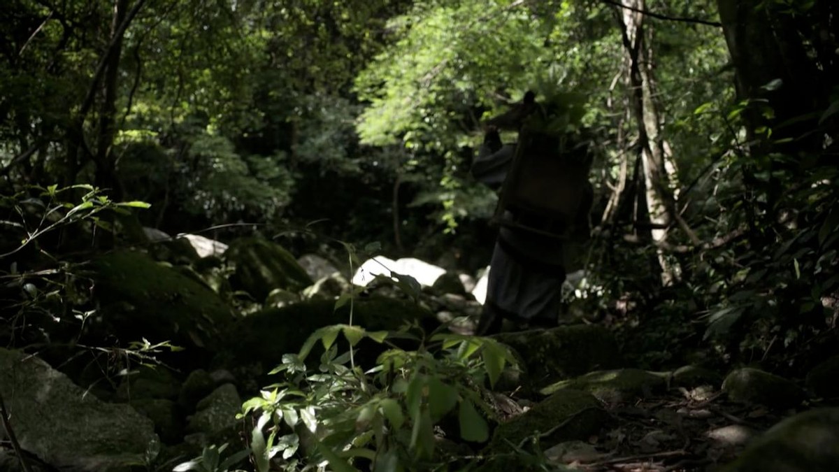 医圣张仲景弃冠回乡,张仲景为什么辞官行医