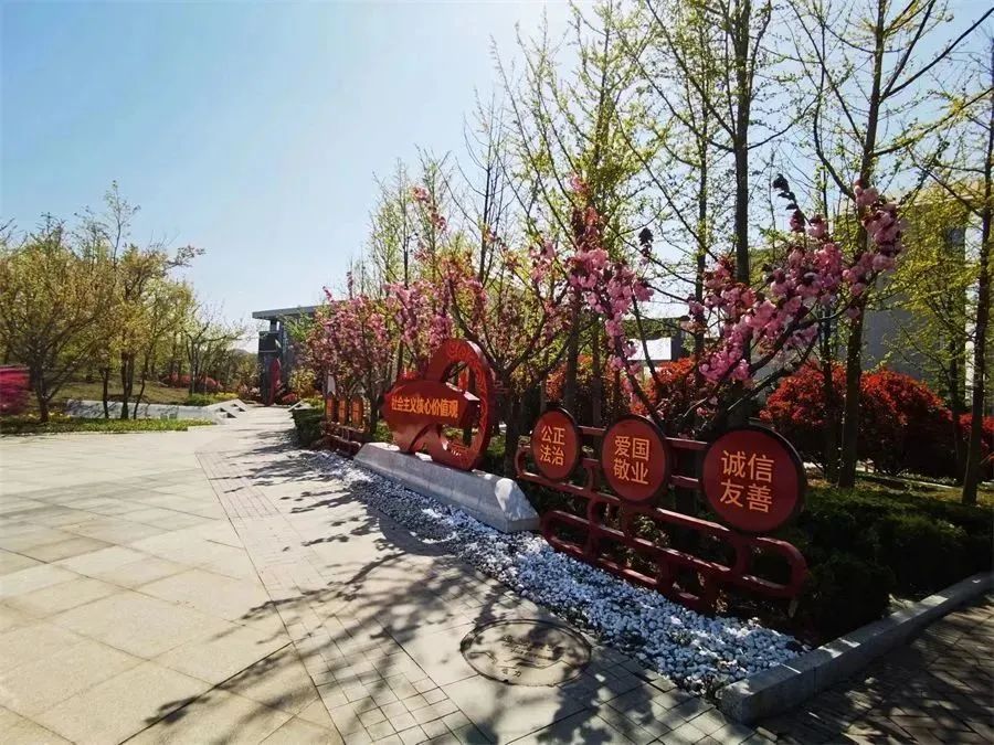 山东省青岛第六中学,山东青岛第六中学