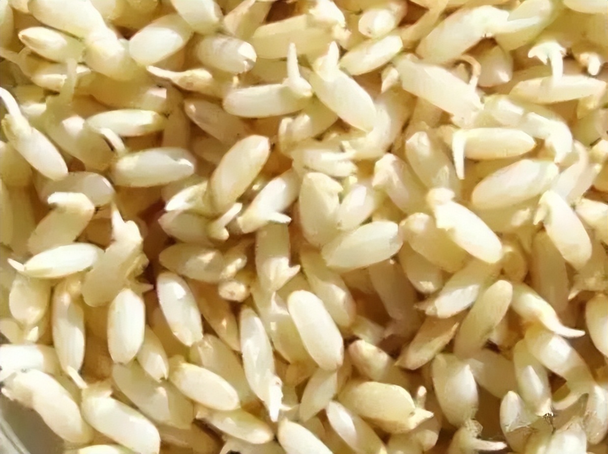 糙米有十种颜色吗,糙米的各种美食