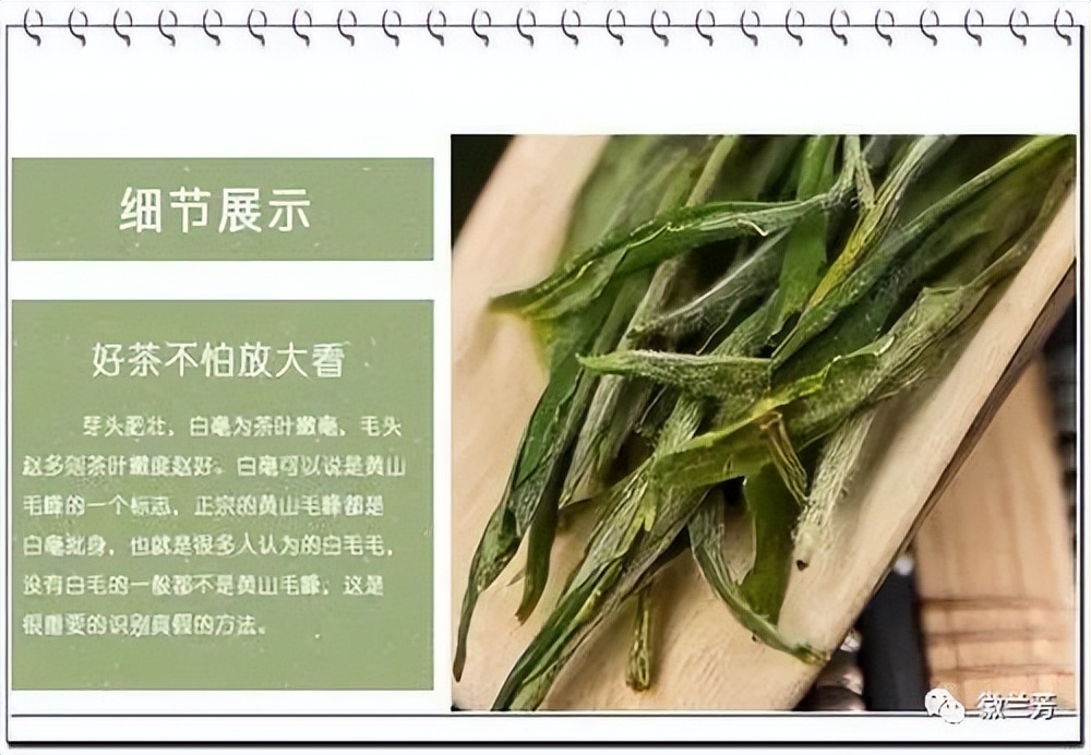 为什么买的茶叶那么绿,买茶注意什么事项