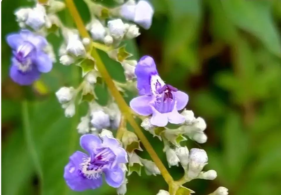 看了2022年平均工资，才知道最吃香的就业专业是哪些