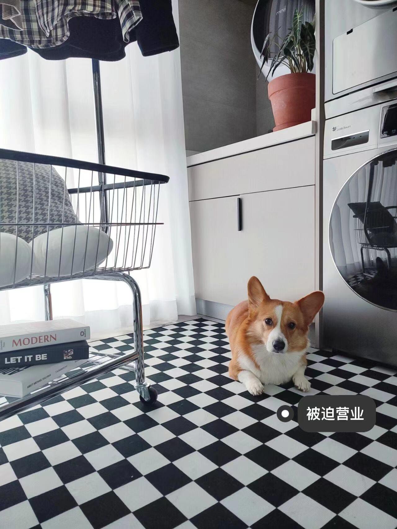 千万不要买这四种家电,这3种家电不仅贵还特别不实用