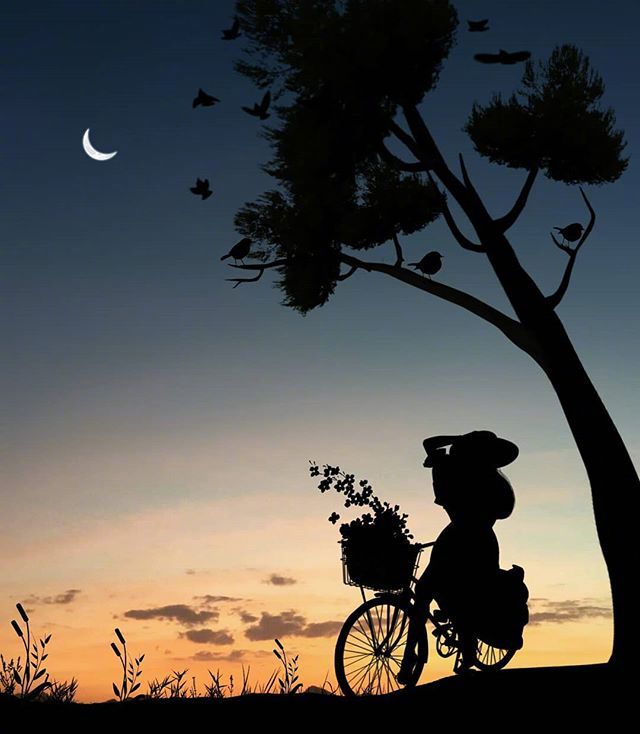 关于写月亮的优美诗句,描写月亮孤单寂寞的诗句有哪些