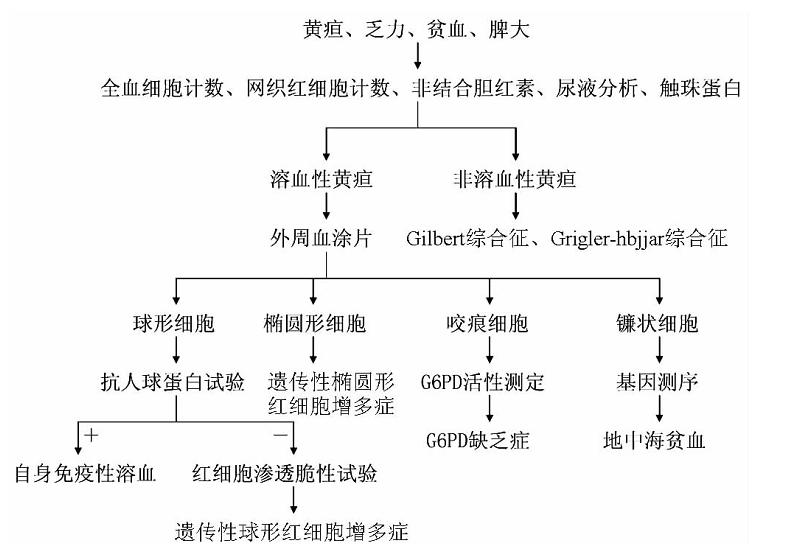 黄疸遗传代谢性疾病,遗传代谢性黄疸怎么治疗