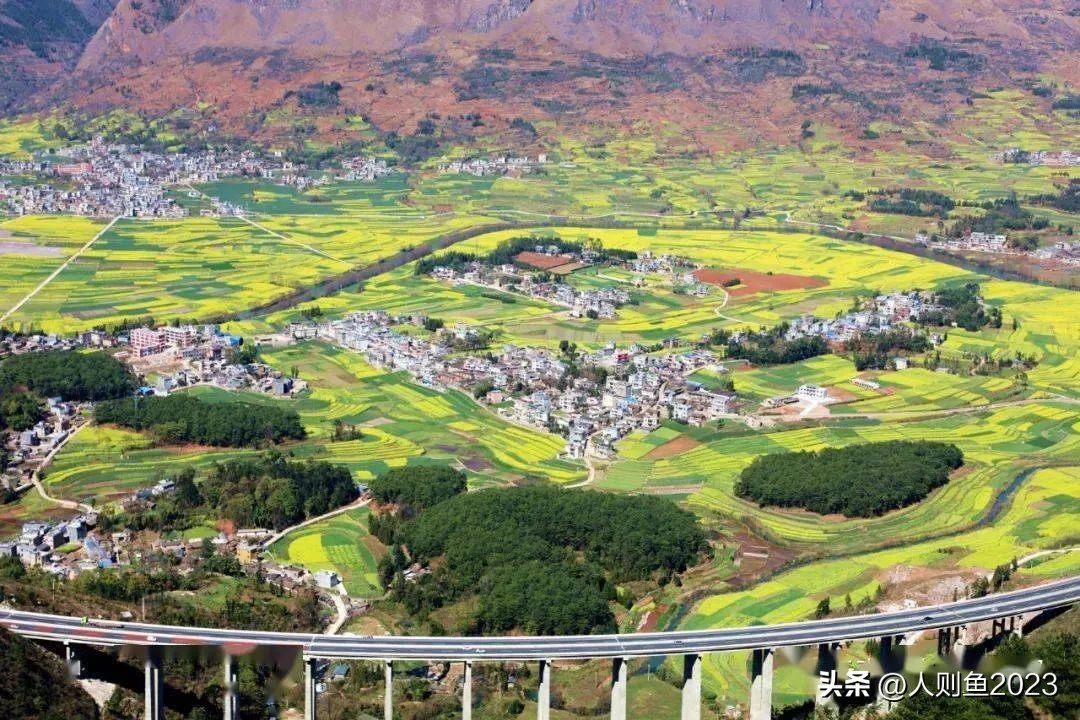 2023年中国农业农村报告,2022农业农村发展趋势