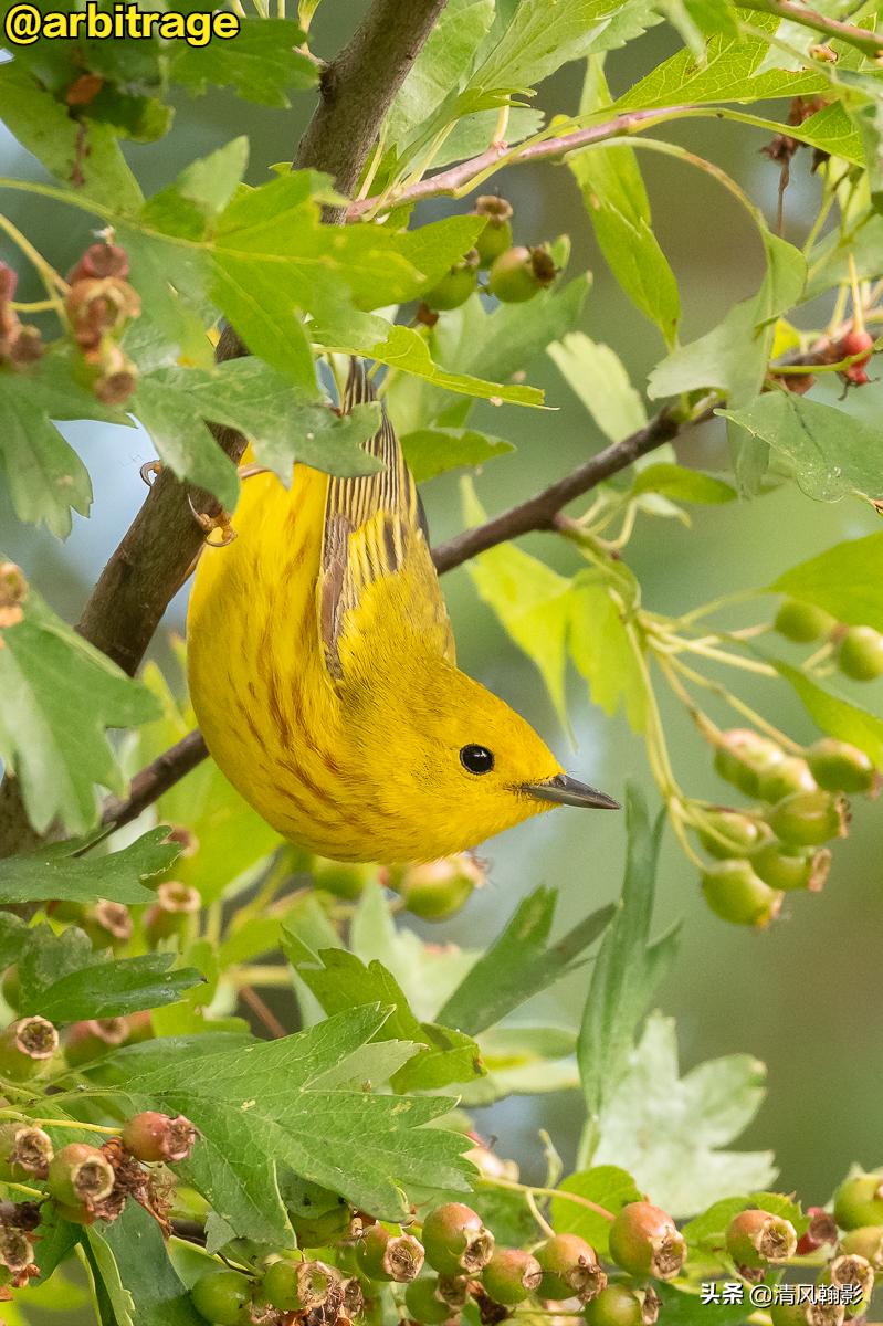 尼康d850拍照有多强,摄影器材篇尼康d850