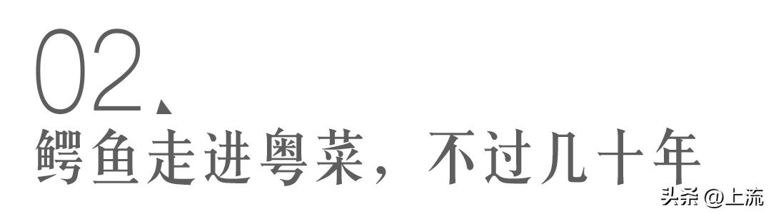 再“鳄”贯满盈的鳄鱼,也逃不出广东人的砂锅煲