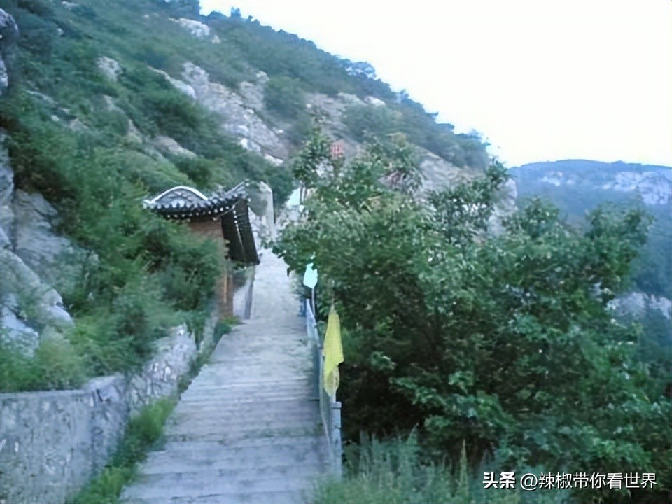 忻州一日游五台山雁门关忻州古城,五台山雁门关忻州古城三日游