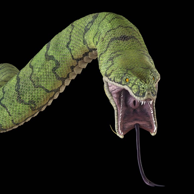 日本民间古老故事四谷怪谈,日本山鬼的传说