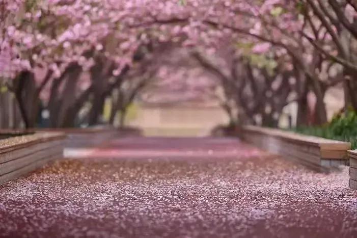 来到农大的心得体会,农大心得