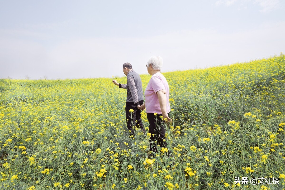 免费医疗的最好办法,免费医疗的出路