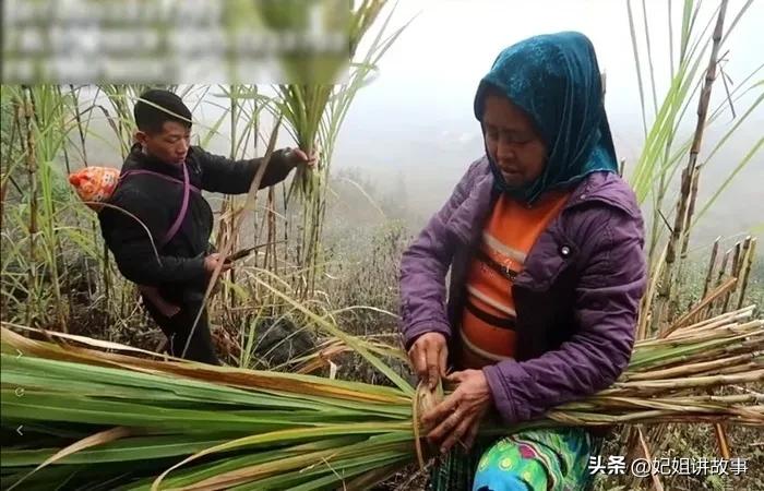 中国小伙在越南娶了个韩国姑娘,越南中国大叔娶年轻越南姑娘