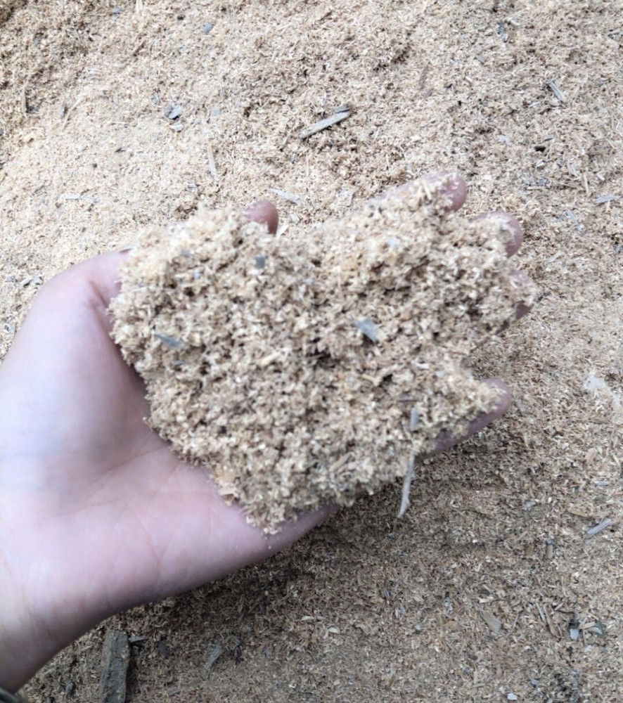 你家中有这几种小粒粒吗？虽然漂亮但危害却不小！发现千万不能留