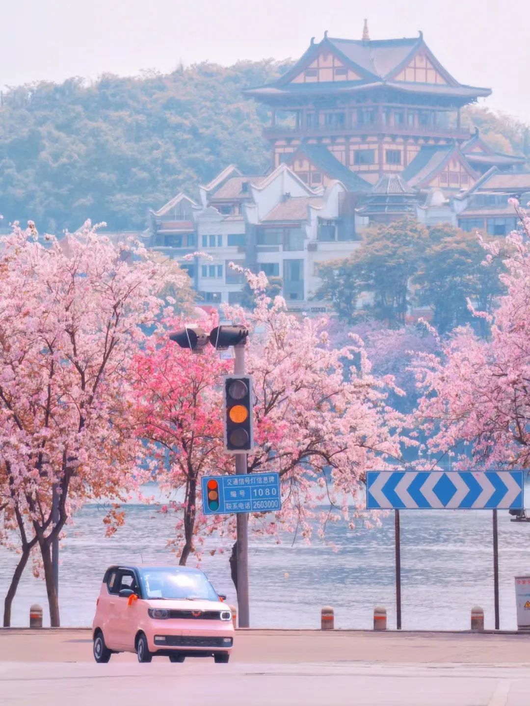 在柳州吃一碗螺蛳粉大概多少钱,柳州螺蛳粉五块钱一碗汤粉