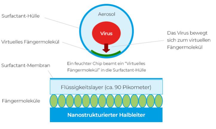将淘汰核酸？德国机器24秒出结果