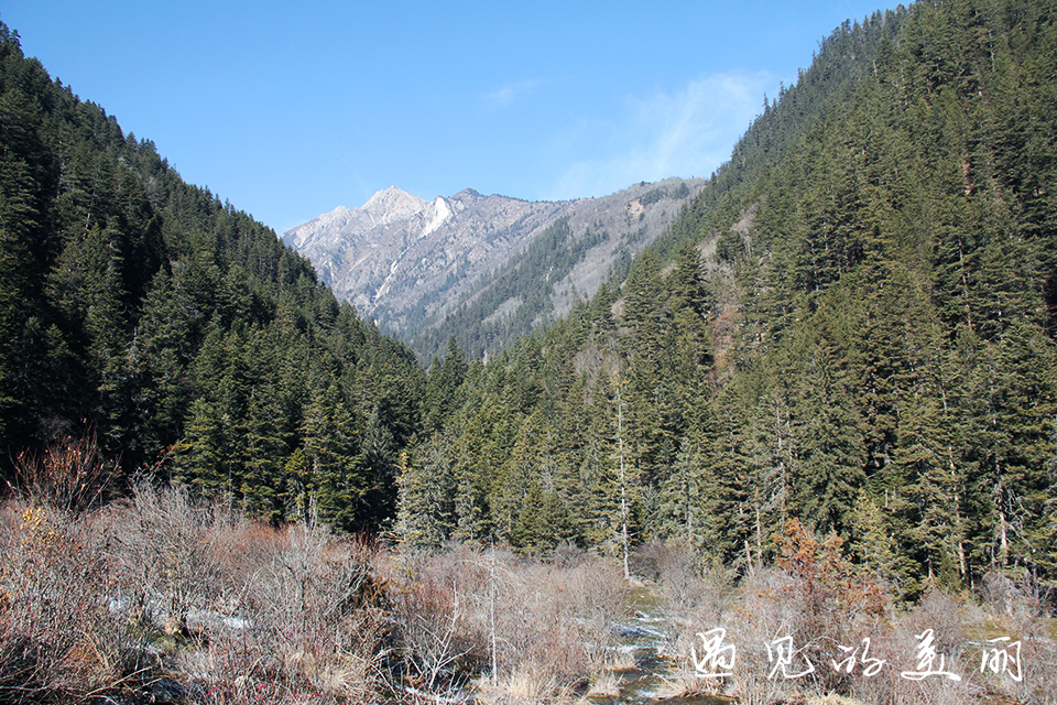 如果一生只去一个古城,一生去一次九寨沟