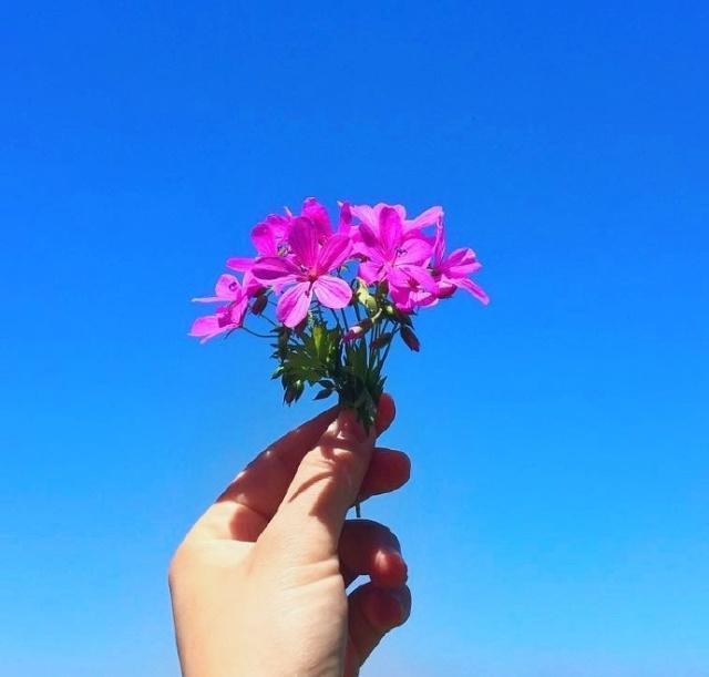 成年人的个性签名,成熟内涵,人人点赞!