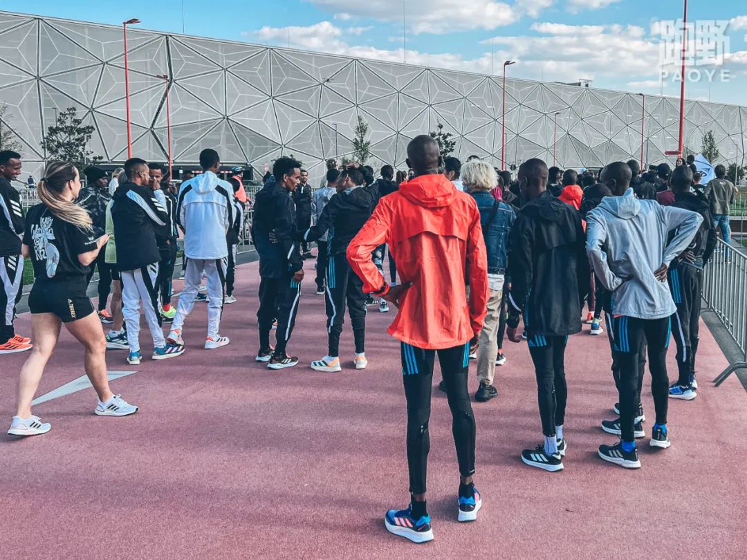 深度解析adidas,阿迪达斯adiospro3什么时候出