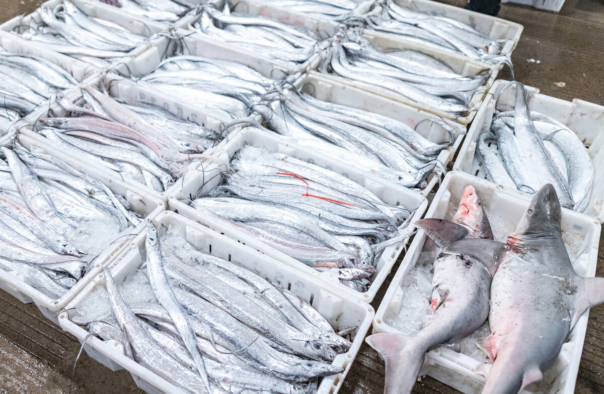 沿海哪里吃海鲜最好吃,中国第一滩海鲜美食推荐