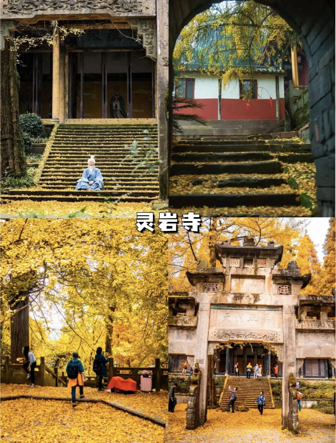 成都火爆的都江堰青城山怎么玩？超全干货攻略来了