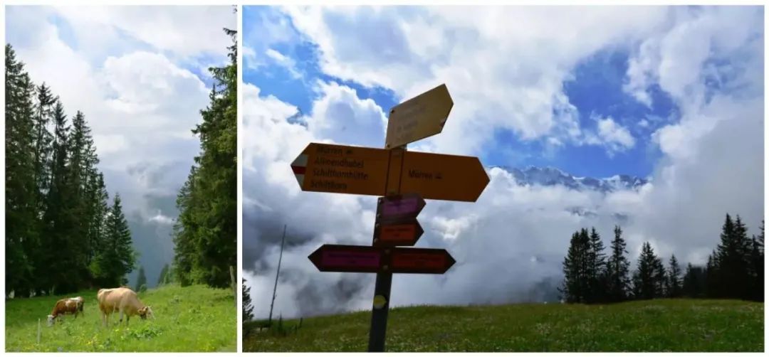 瑞士意大利德国奥地利自驾路线,奥地利瑞士自驾旅行2016年