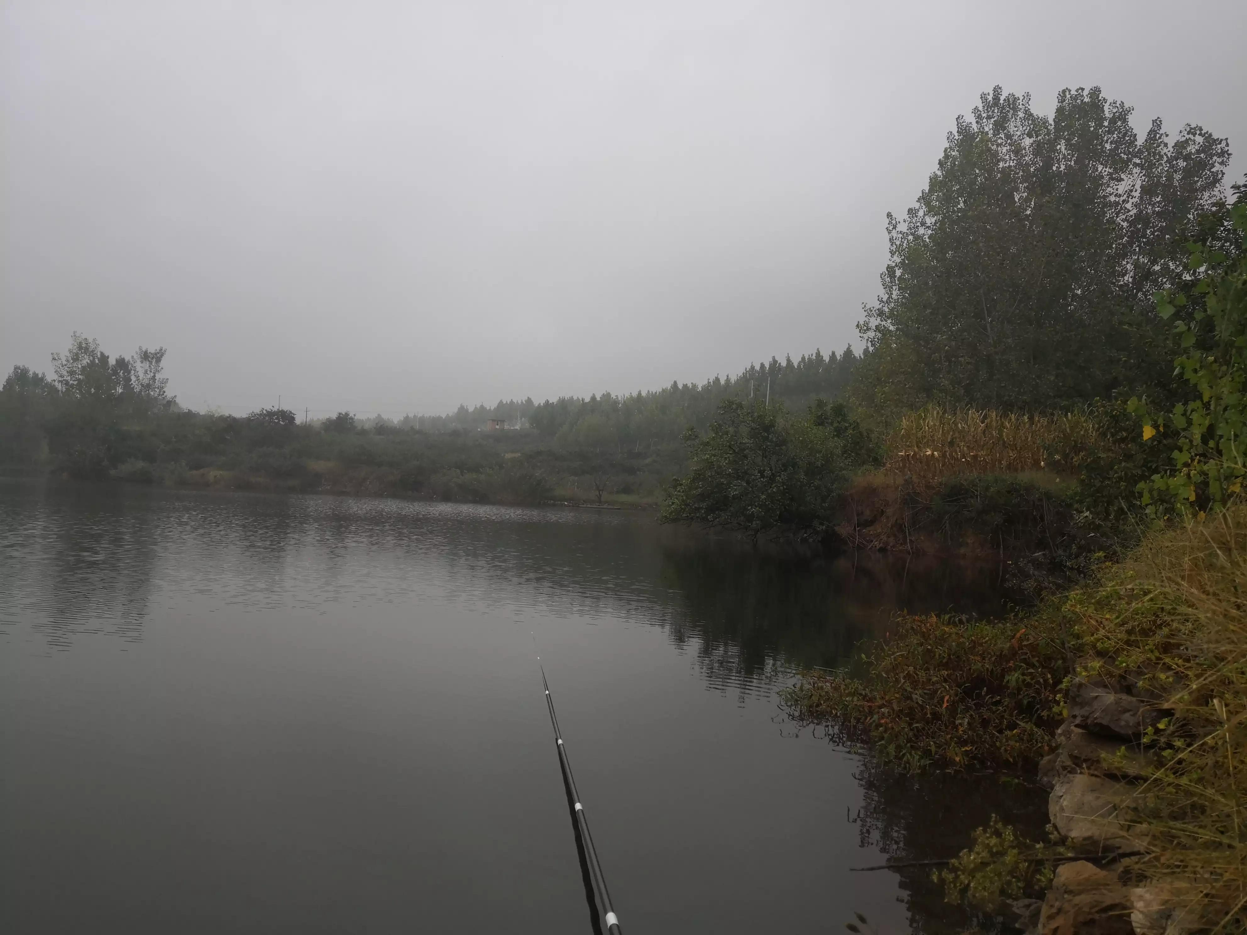 神仙难钓午时鱼是指什么鱼,神仙难钓午时鱼有什么说法