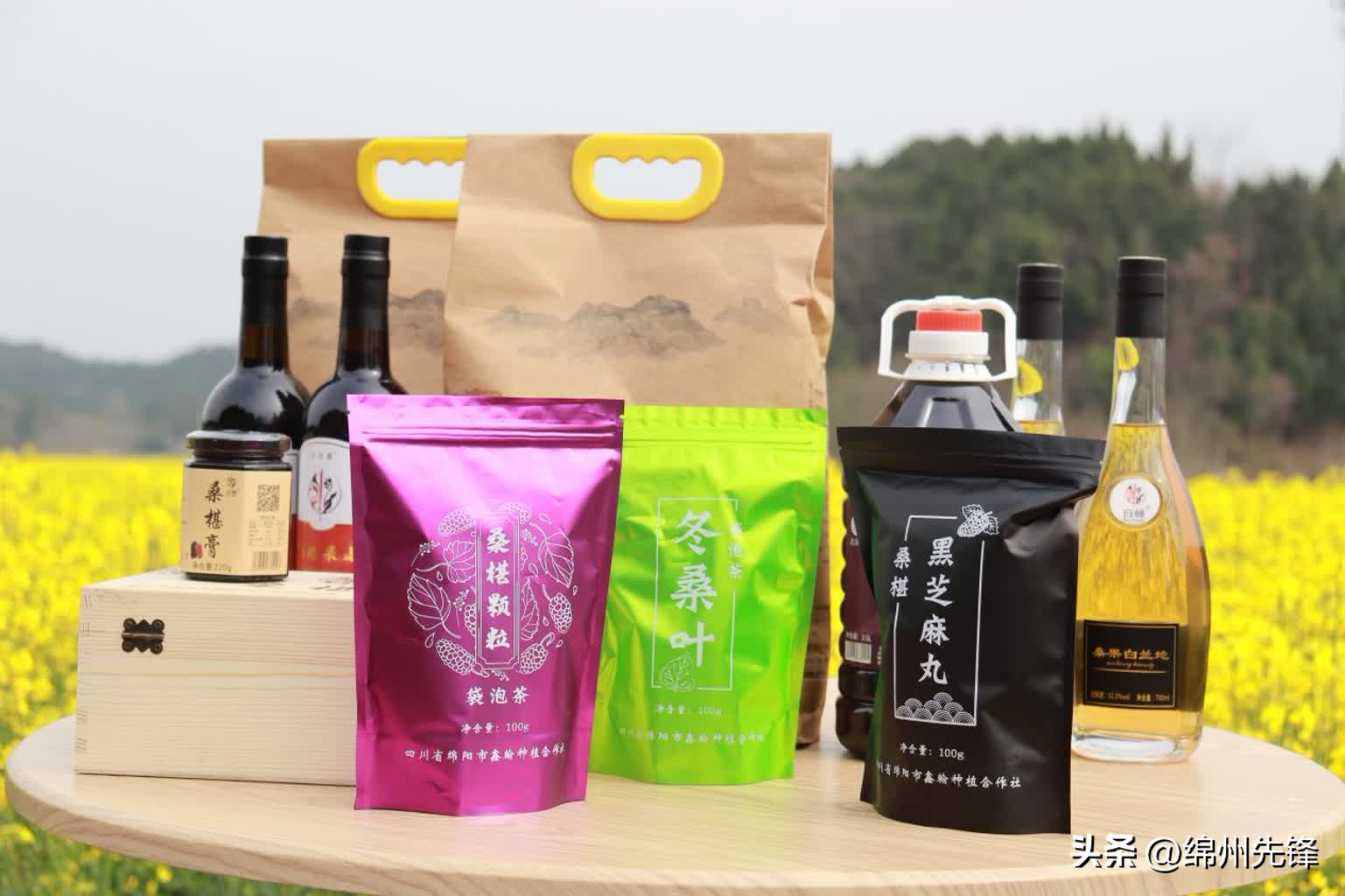 绵阳全省乡村振兴先进市,绵阳特色乡村振兴之路