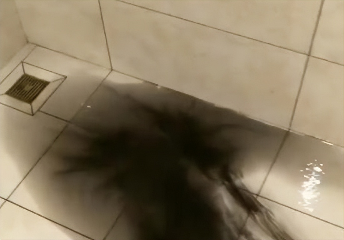 卫生间漏水去哪找维修师傅,卫生间漏水到楼下怎么维修