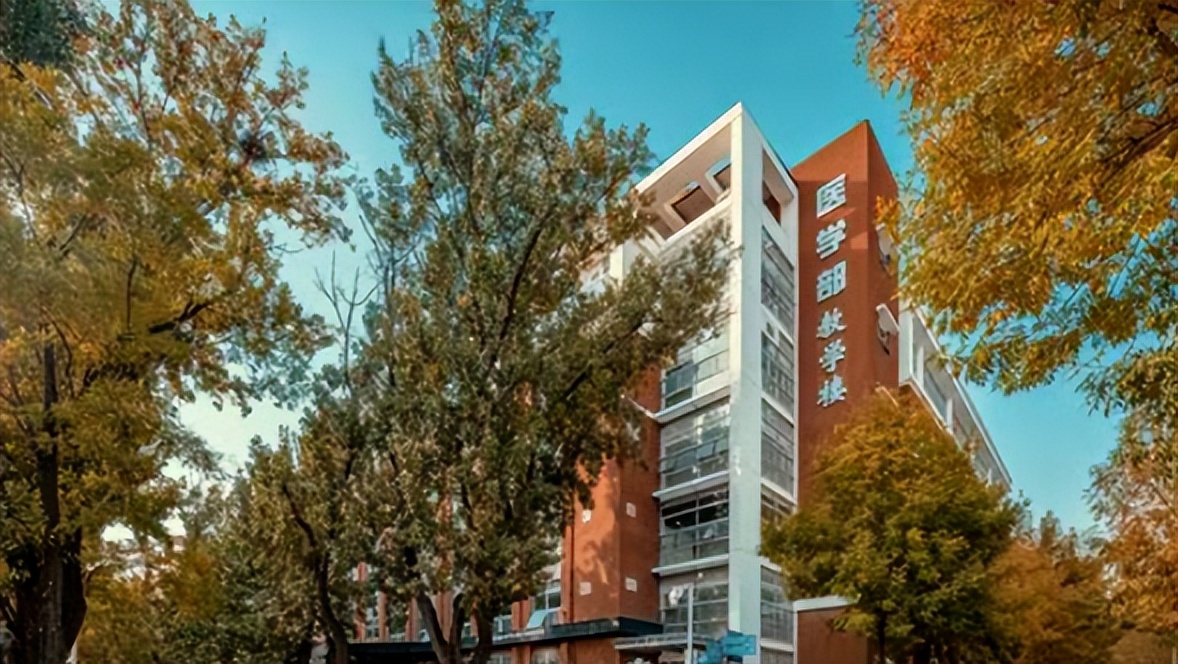 任职985名校、三甲医院！这6位医学专家：近日获天津市4部门联合表彰！