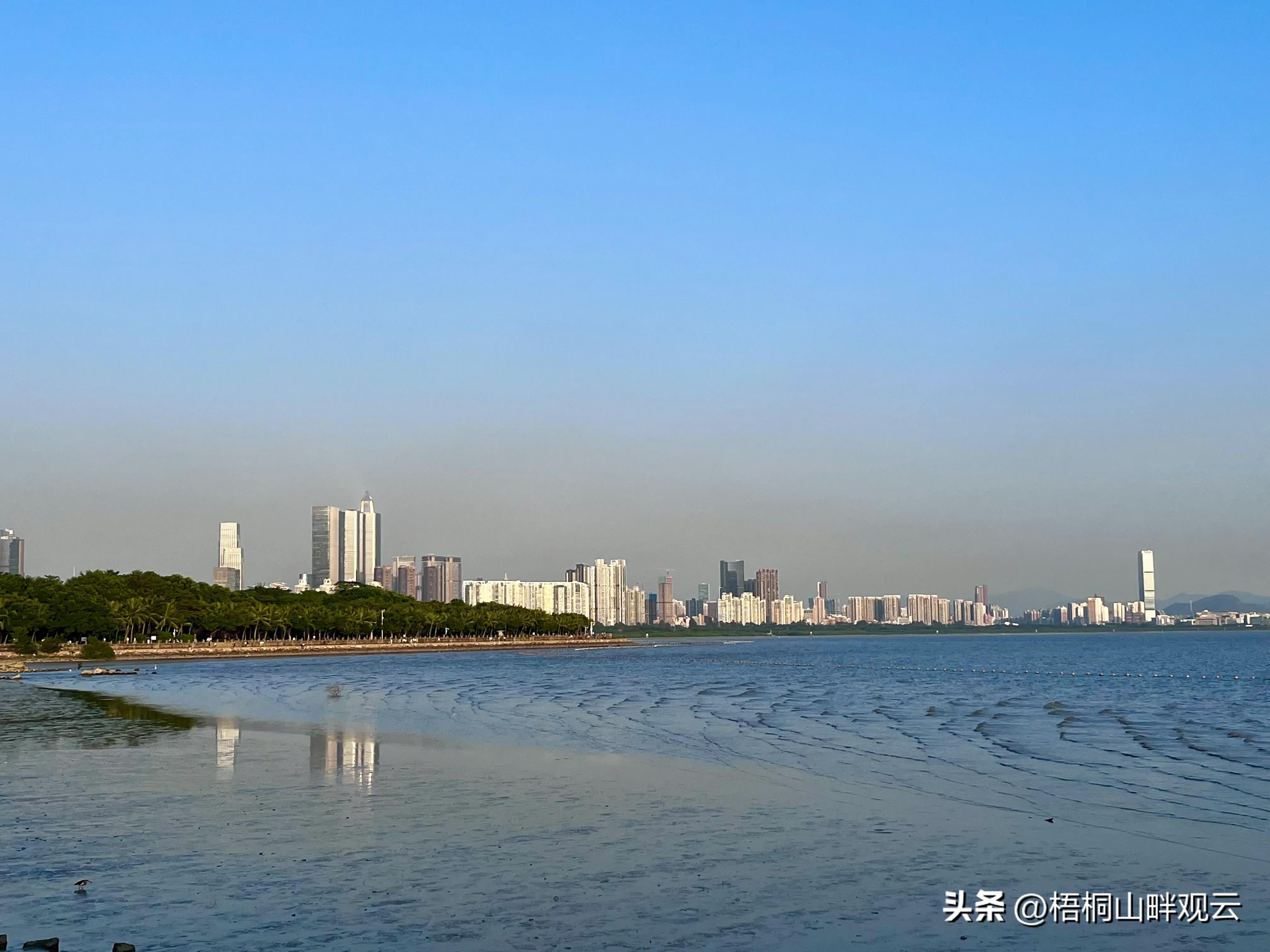 深圳的冬天简笔画,深圳的冬天冷吗