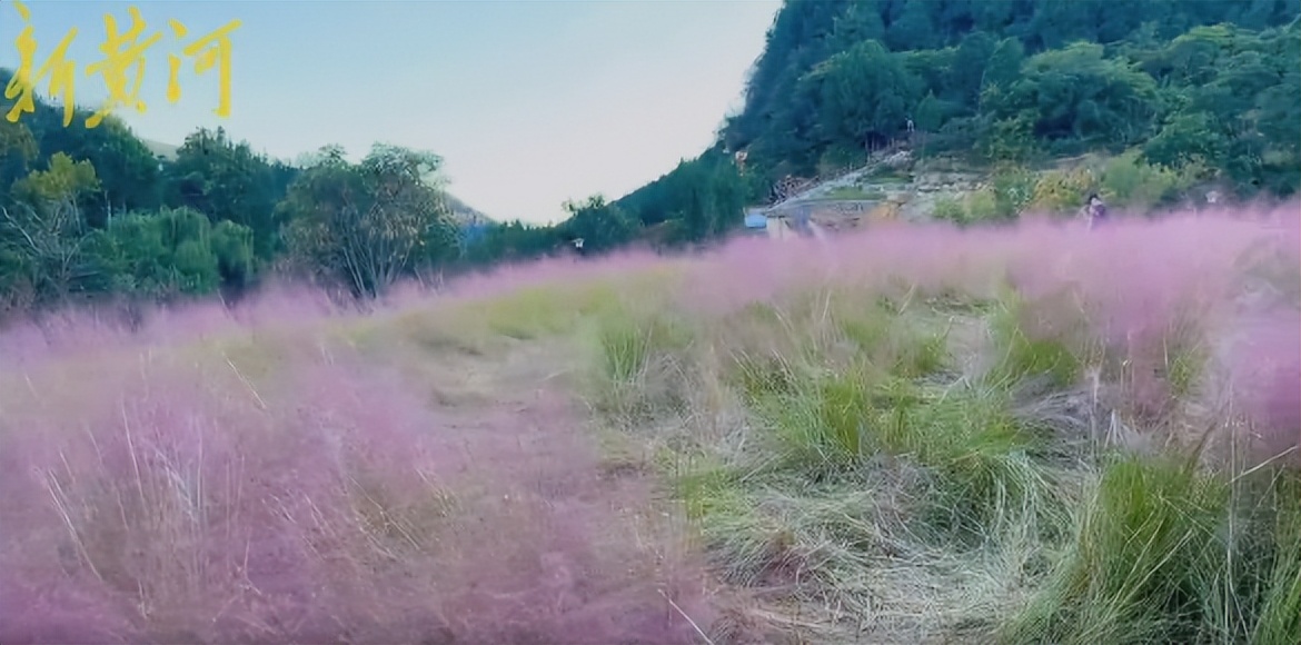 济南小众秋景好的地方,济南最近很火的打卡地秋天