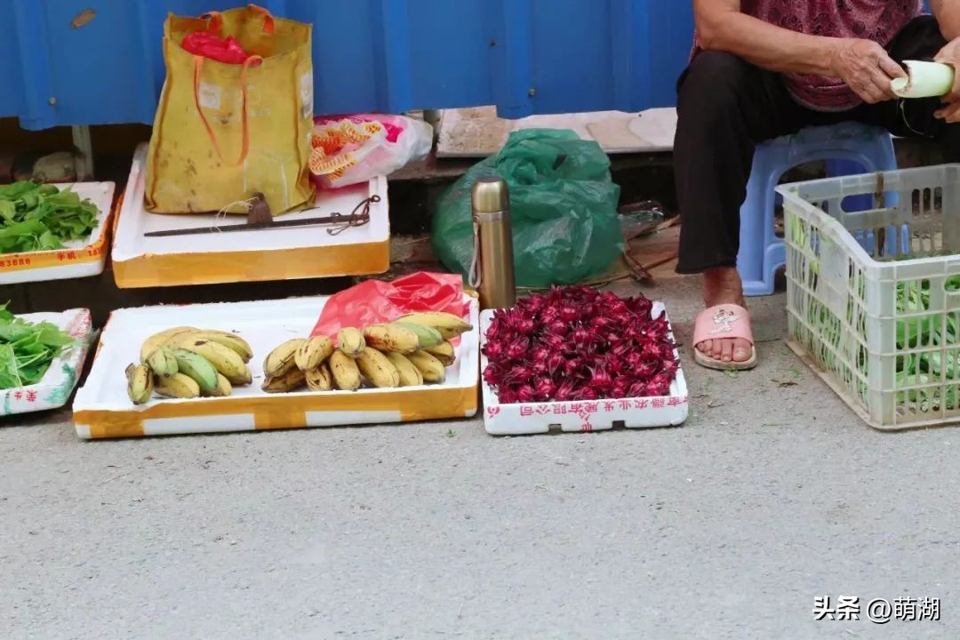 夏天去广州旅游攻略一天,广州旅游攻略一天一夜自由行