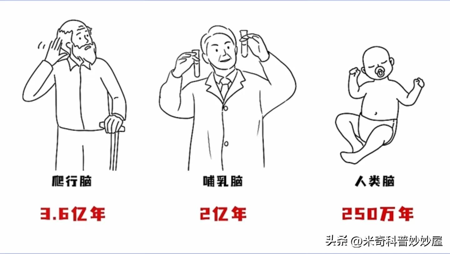 是大脑控制你，还是你控制大脑呢？