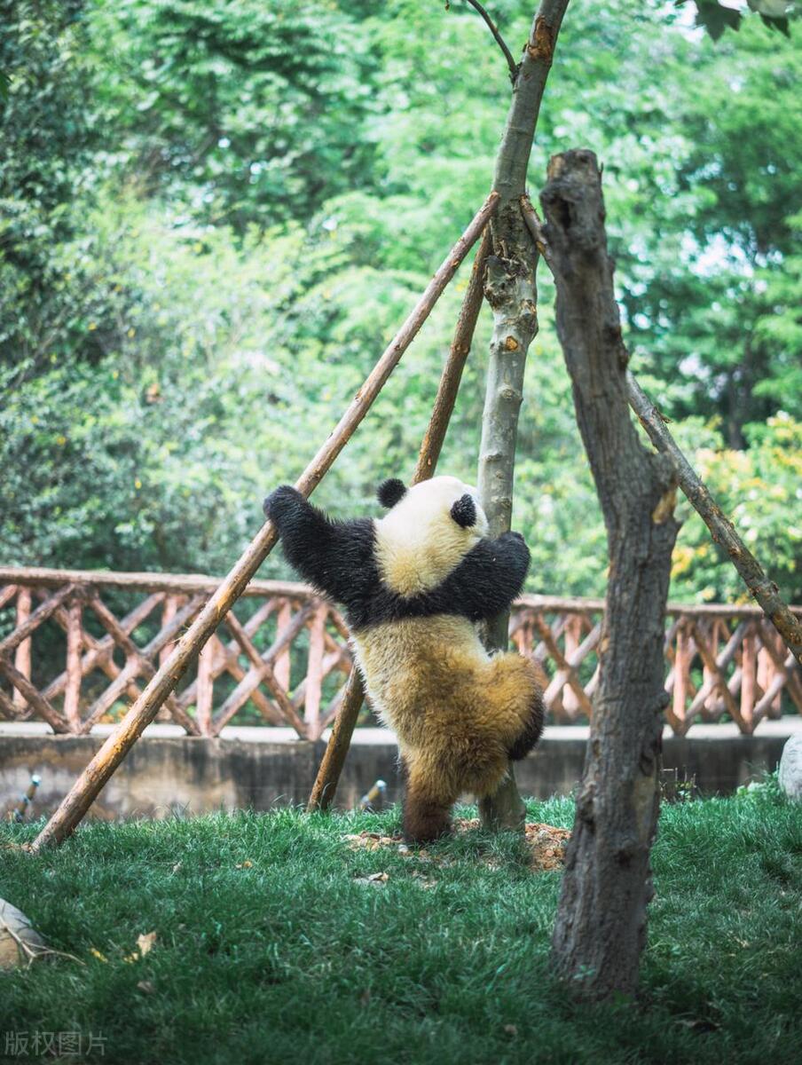 各国旅游的真实惨状,各国留学生活状态分析