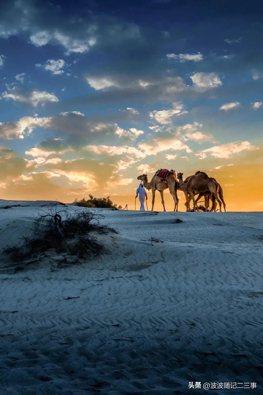卡塔尔世界杯最经典的足球比赛,弹丸小国和卡塔尔