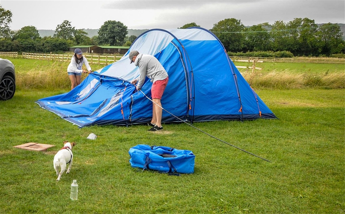 澳洲连蚂蚁都是狠角色？父子露营发现蚂蚁撕咬毒蛇，差点只剩白骨