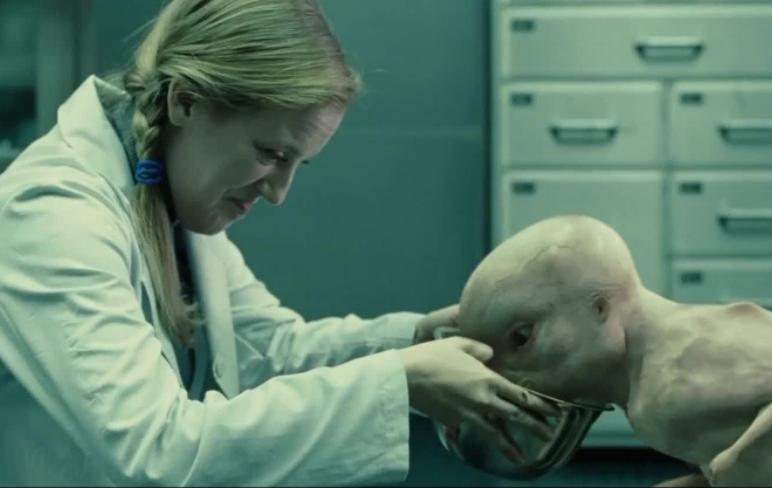 人类动物能混血吗,人类真的能杂交吗